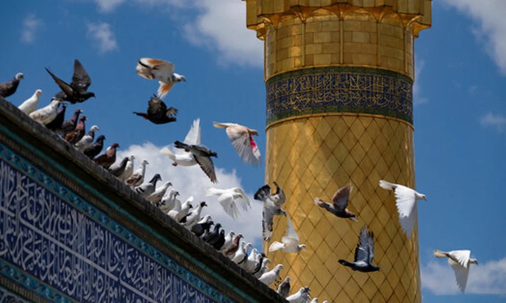 فاصله نجف تا کربلا چقدر است